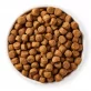 Croquettes poulet & céréales pour chien BIO - 10kg - Yarrah