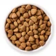 Croquettes végétariennes & végétaliennes pour chien BIO - 10kg - Yarrah