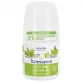 24H BIO-Deo-Roller Eisenkraut - 50ml - Natessance