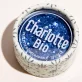 Glitter Blau - 4g - Charlotte Bio