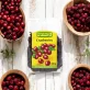 Cranberries BIO - 100g - Rapunzel
