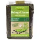 Beluga Linsen schwarz BIO - 500g - Rapunzel