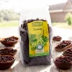 Raisins secs BIO - 500g - Rapunzel