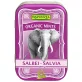 Bonbons Salbei BIO - 50g - Rapunzel