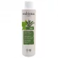BIO-Schuppen Shampoo Birke & Olivenblatt - 200ml - Eubiona