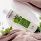 BIO-Schuppen Shampoo Birke & Olivenblatt - 200ml - Eubiona