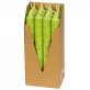 Stabkerzen Grün aus BIO-Stearin 22 x 210 mm - 12 Stück - Eubiona
