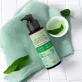 Duschgel konzentriert Grüntee & Frische Minze BIO - 100ml - Florame
