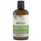Natives Calophyll Inophyl Öl BIO - 100ml - Centifolia