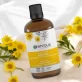 Arnika-Mazerat BIO - 100ml - Centifolia
