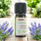 Ätherisches Öl Speiklavendel BIO - 10ml - Florame