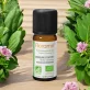 Ätherisches Öl Waldmajoran BIO - 10ml - Florame