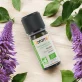 Huile essentielle de Patchouli BIO - 10ml - Florame