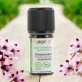 Ätherisches Öl Geranium Afrique BIO - 5ml - Florame