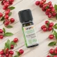 Ätherisches Öl Wintergrün BIO - 10ml - Florame