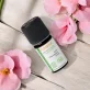 Ätherisches Öl Zistrose BIO - 5ml - Florame