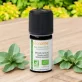 Ätherisches Öl Origano spanisch BIO - 5ml - Florame