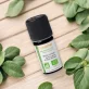 Ätherisches Öl Origano spanisch BIO - 5ml - Florame