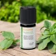 Ätherisches Öl Origano kompakt BIO - 5ml - Florame