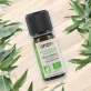 Ätherisches Öl Eukalyptus radiata BIO - 10ml - Florame