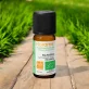 Ätherisches Öl Palmarosa BIO - 10ml - Florame