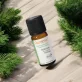 Huile essentielle de Térébenthine BIO - 10ml - Florame