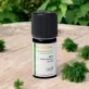 Ätherisches Öl Dill BIO - 5ml - Florame