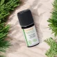 Ätherisches Öl Fichte schwarz BIO - 5ml - Florame