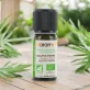 Ätherisches Öl Eukalyptus citriodora BIO - 10ml - Florame