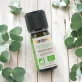 Ätherisches Öl Eukalyptus globulus BIO - 10ml - Florame