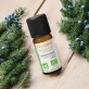 Ätherisches Öl Wacholderbeere BIO - 10ml - Florame