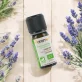 Ätherisches Öl Lavendel fein BIO - 10ml - Florame