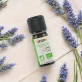 Ätherisches Öl Lavandin BIO - 10ml - Florame
