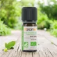 Ätherisches Öl Ravintsara BIO - 10ml - Florame