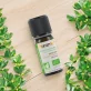Ätherisches Öl Ravintsara BIO - 10ml - Florame