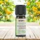 Ätherisches Öl Italienische Strohblume BIO - 5ml - Florame