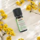 Ätherisches Öl Italienische Strohblume BIO - 5ml - Florame
