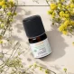 Ätherisches Öl Kamille blau BIO - 2ml - Florame