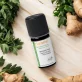 Ätherisches Öl Ingwer frisch BIO - 5ml - Florame