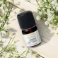 Ätherisches Öl Angelikawurzel BIO - 2ml - Florame