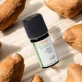 Ätherisches Öl Kurkuma BIO - 5ml - Florame