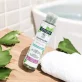 BIO-Familienshampoo Aloe Vera - 100ml - Coslys