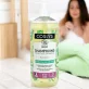 Shampooing famille BIO aloe vera - 1l - Coslys