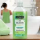 Erfrischendes BIO-Duschgel Minze & Hanf - 250ml - Coslys