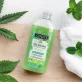 Erfrischendes BIO-Duschgel Minze & Hanf - 250ml - Coslys