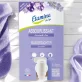Ökologischer Weichspüler Lavendel - 10kg - Etamine du Lys