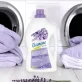 Ökologischer Weichspüler Lavendel - 1l - Etamine du Lys