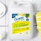 Ökologisches fettlösendes Spülmittel Zitrone & Minze - 5l - Etamine du Lys