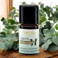 Intensiv-Luftreiniger Aromamischung - 5ml - Farfalla