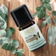 Intensiv-Luftreiniger Aromamischung - 5ml - Farfalla